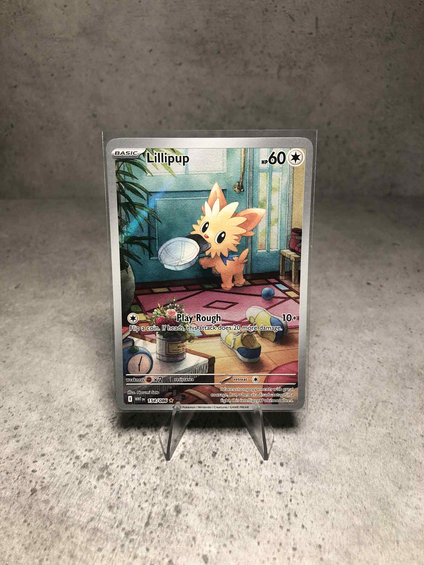 Lillipup 154/086